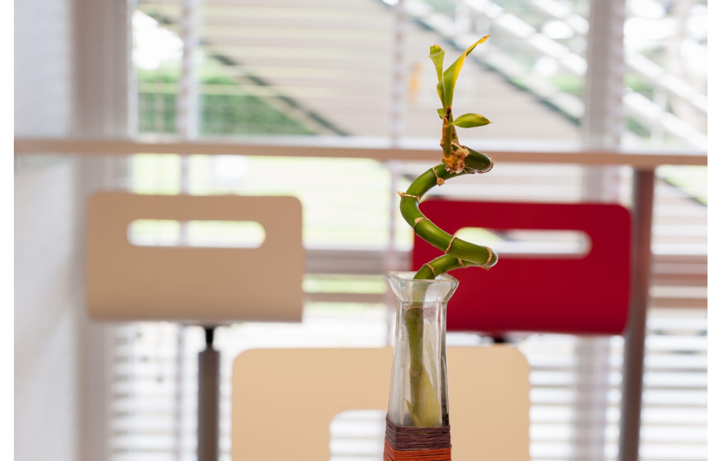 Hotel Premiere Classe Rouen Sud Oissel Saint-Étienne-du-Rouvray Zewnętrze zdjęcie